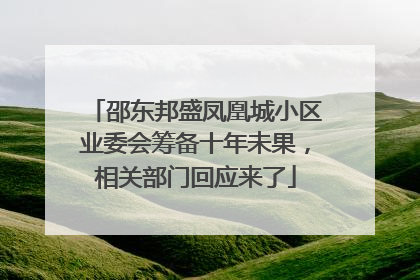 邵东邦盛凤凰城小区业委会筹备十年未果，相关部门回应来了