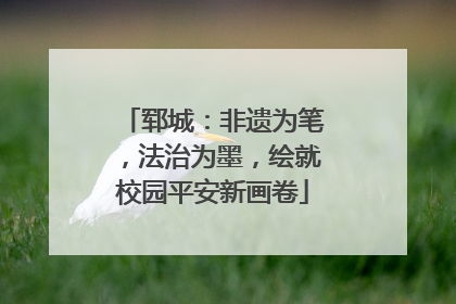 郓城：非遗为笔，法治为墨，绘就校园平安新画卷
