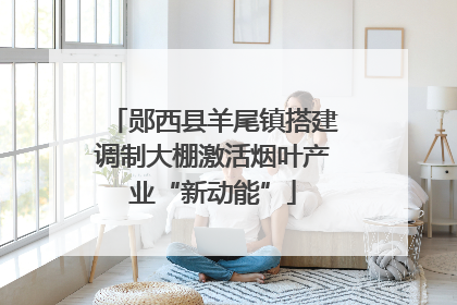 郧西县羊尾镇搭建调制大棚激活烟叶产业“新动能”