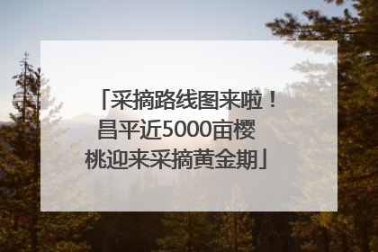 采摘路线图来啦！昌平近5000亩樱桃迎来采摘黄金期