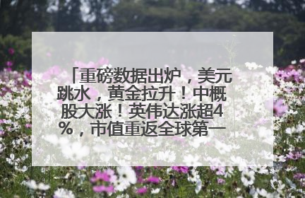 重磅数据出炉，美元跳水，黄金拉升！中概股大涨！英伟达涨超4%，市值重返全球第一！黄仁勋计划出售至多600万股股票