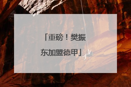 重磅！樊振东加盟德甲