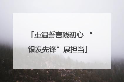 重温誓言践初心 “银发先锋”展担当