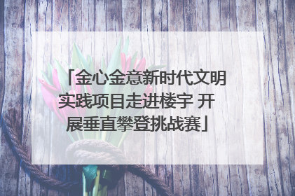 金心金意新时代文明实践项目走进楼宇 开展垂直攀登挑战赛