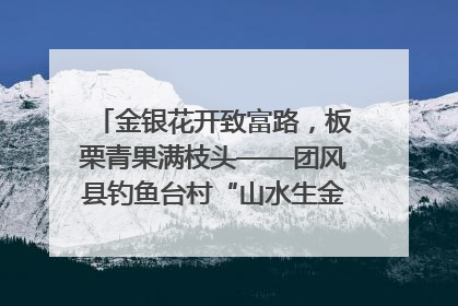 金银花开致富路，板栗青果满枝头——团风县钓鱼台村“山水生金”谱写共富新篇章