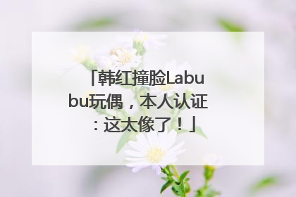 韩红撞脸Labubu玩偶，本人认证：这太像了！
