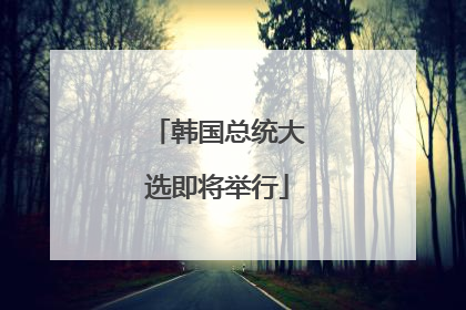 韩国总统大选即将举行
