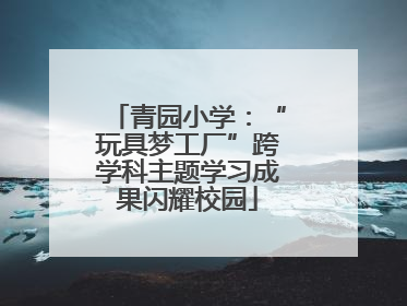 青园小学：“玩具梦工厂”跨学科主题学习成果闪耀校园