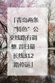 青岛两条“特色”公交线路有调整 昔日最长线312路停运