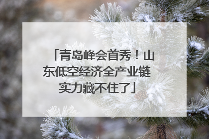 青岛峰会首秀！山东低空经济全产业链实力藏不住了