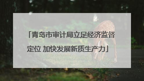 青岛市审计局立足经济监督定位 加快发展新质生产力
