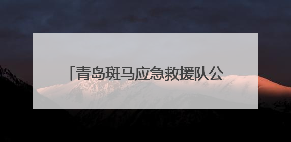 青岛斑马应急救援队公益长跑从未停歇 七载坚守绘就城市温暖底色