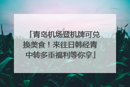 青岛机场登机牌可兑换美食！来往日韩经青中转多重福利等你拿