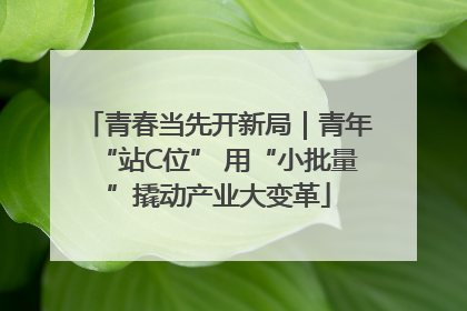 青春当先开新局｜青年“站C位” 用“小批量”撬动产业大变革