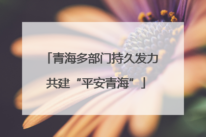 青海多部门持久发力共建“平安青海”