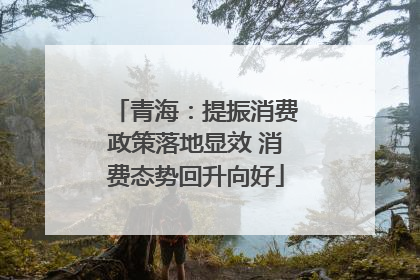 青海：提振消费政策落地显效 消费态势回升向好
