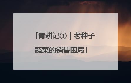 青耕记③｜老种子蔬菜的销售困局