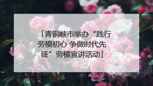 青铜峡市举办“践行劳模初心 争做时代先锋”劳模宣讲活动