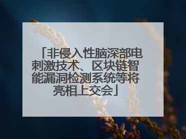 非侵入性脑深部电刺激技术、区块链智能漏洞检测系统等将亮相上交会