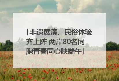 非遗展演、民俗体验齐上阵 两岸80名同胞青春同心映端午