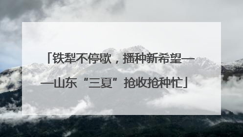 铁犁不停歇，播种新希望——山东“三夏”抢收抢种忙