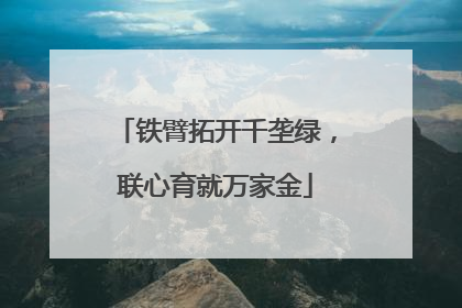 铁臂拓开千垄绿，联心育就万家金