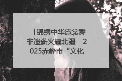 锦绣中华霓裳舞 非遗薪火耀北疆—2025赤峰市“文化和自然遗产日”非遗宣传展示活动纪实