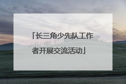 长三角少先队工作者开展交流活动