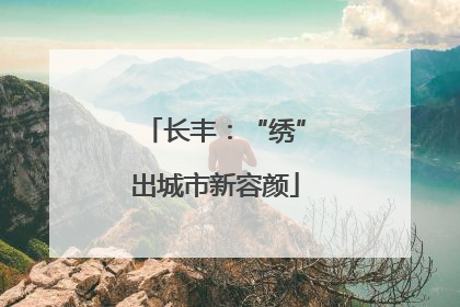 长丰：“绣”出城市新容颜