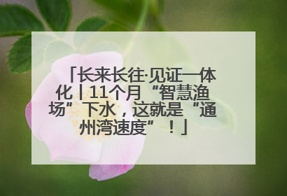 长来长往·见证一体化丨11个月“智慧渔场”下水，这就是“通州湾速度”！