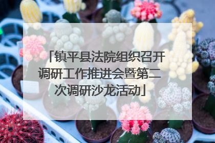 镇平县法院组织召开调研工作推进会暨第二次调研沙龙活动