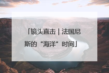 镜头直击｜法国尼斯的“海洋”时间
