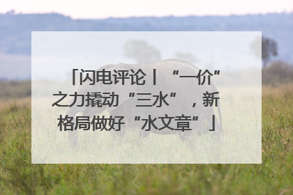 闪电评论丨“一价”之力撬动“三水”，新格局做好“水文章”