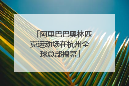 阿里巴巴奥林匹克运动场在杭州全球总部揭幕