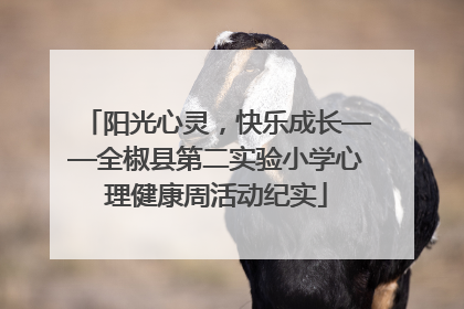 阳光心灵，快乐成长——全椒县第二实验小学心理健康周活动纪实