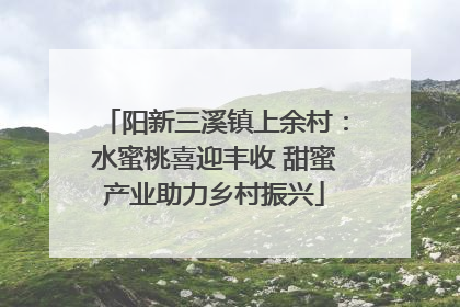 阳新三溪镇上余村：水蜜桃喜迎丰收 甜蜜产业助力乡村振兴