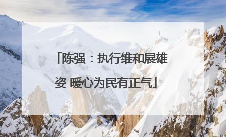 陈强：执行维和展雄姿 暖心为民有正气