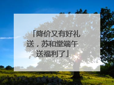 降价又有好礼送，苏和堂端午送福利了