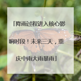 降雨过程进入核心影响时段！未来三天，重庆中雨大雨暴雨