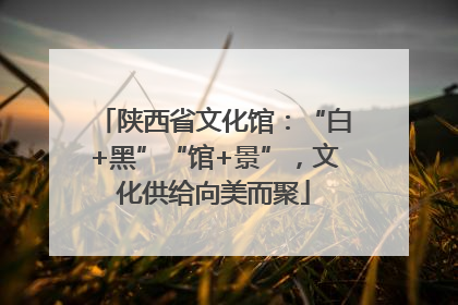 陕西省文化馆：“白+黑”“馆+景”，文化供给向美而聚