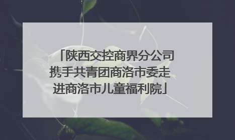 陕西交控商界分公司携手共青团商洛市委走进商洛市儿童福利院