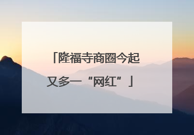 隆福寺商圈今起又多一“网红”
