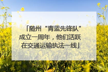 随州“青蓝先锋队”成立一周年，他们活跃在交通运输执法一线