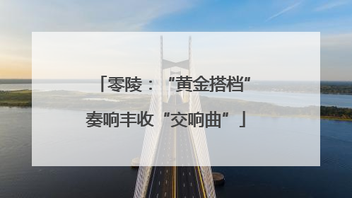 零陵：“黄金搭档”奏响丰收“交响曲”