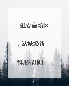 雄安高新区：站城焕新 雏形显现