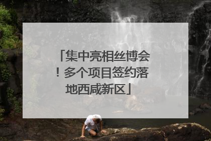 集中亮相丝博会！多个项目签约落地西咸新区