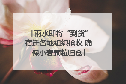 雨水即将“到货” 宿迁各地组织抢收 确保小麦颗粒归仓