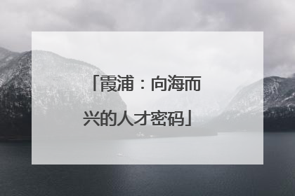 霞浦：向海而兴的人才密码