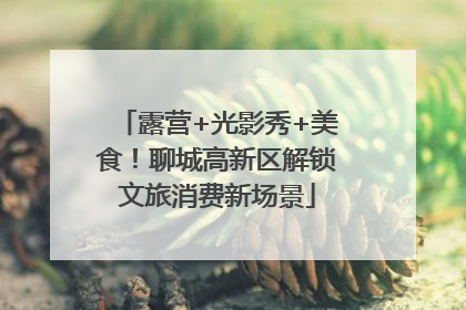 露营+光影秀+美食！聊城高新区解锁文旅消费新场景