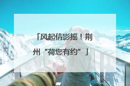 风起倩影摇！荆州“荷您有约”